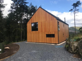 Red Stag with stunning loch and waterfall view